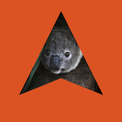 avatar for ausgeo@newsmast.social