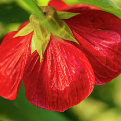 avatar for rnatale@mstdn.social