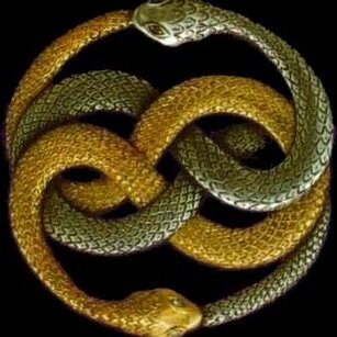 avatar for Aurin_the_classtraitor@climatejustice.social