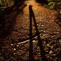 avatar for LeadingLines@pixelfed.social