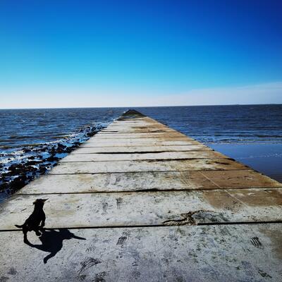 avatar for HeikeNordseeliebe@det.social