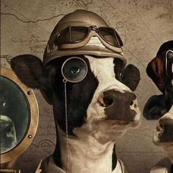 avatar for Beef@noagendasocial.com