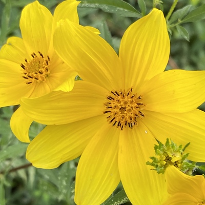 avatar for Abibliophobia@mastodon.social