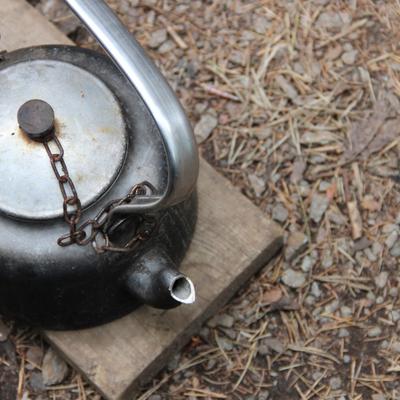 avatar for whose_nose@dresden.network