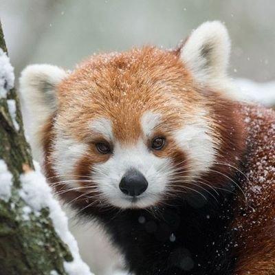 avatar for beecycling@wandering.shop