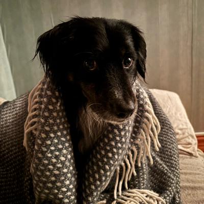 avatar for noni@climatejustice.social