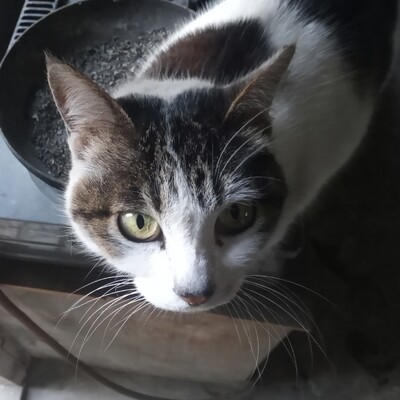 avatar for yewi@mastodon.scot