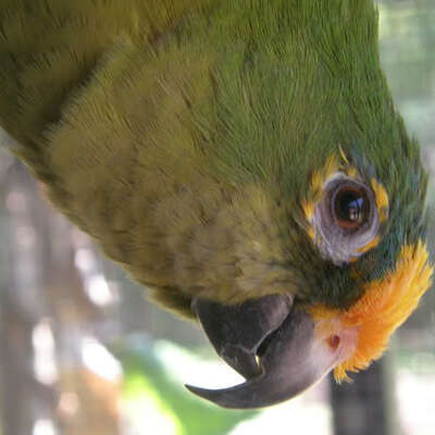 avatar for peachfront@toot.community