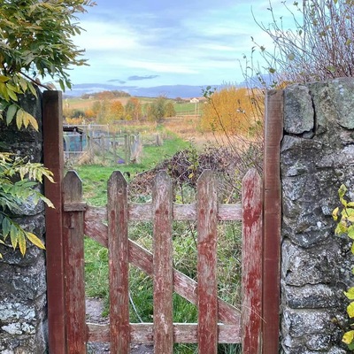 avatar for Homestead@mastodon.scot