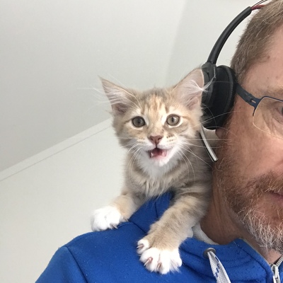 avatar for mtearle@universeodon.com