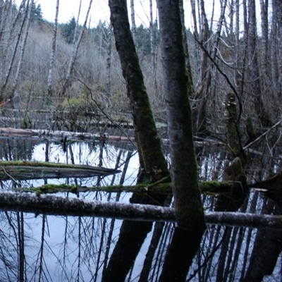 avatar for OLjohnel@m.ai6yr.org