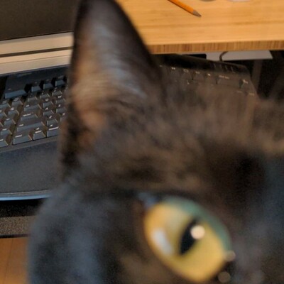 avatar for transitionalaspect@fnordon.de