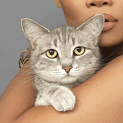 avatar for QLC@mastodon.roitsystems.ca