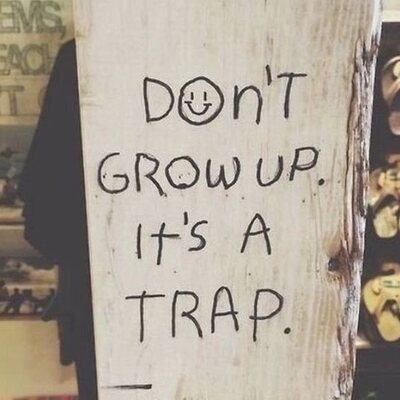 avatar for twoowls73@mastodon.scot