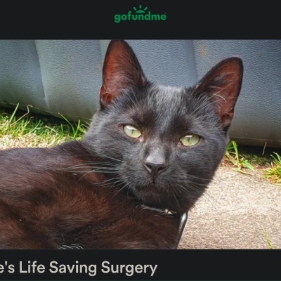 avatar for Souperman@mastodon.social