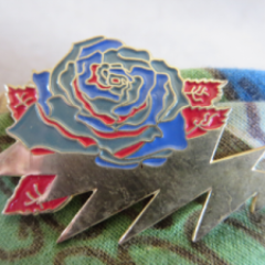 avatar for salixsericea@mastodon.social