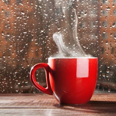 avatar for LeftCoastBec@pnw.zone