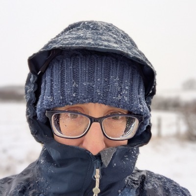 avatar for thebaywindowgirl@toot.wales