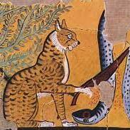 avatar for Ellirahim@ohai.social