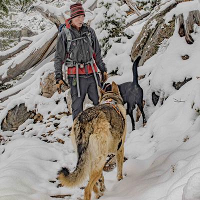 avatar for BeartoothSkier@mastodon.social