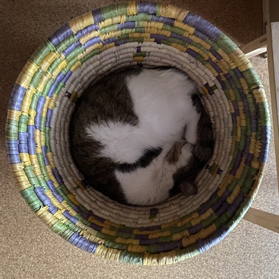 avatar for MartinK@gruene.social