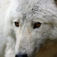 avatar for Stephan@pixelfed.social