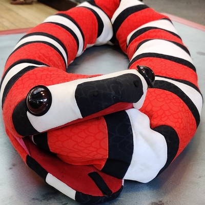 avatar for pseudonym@mastodon.online