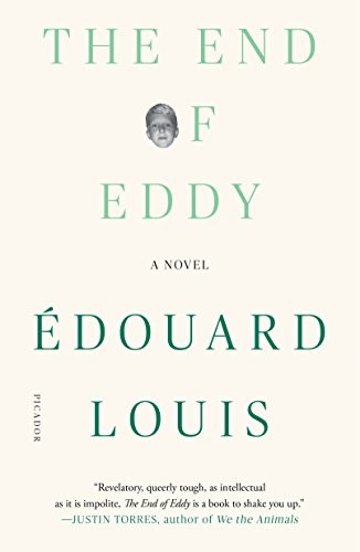 Édouard Louis: The End of Eddy (Paperback, 2018, Picador)
