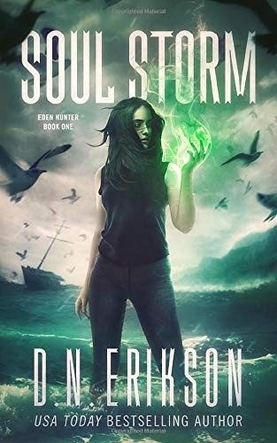 D.N. Erikson: Soul Storm (Paperback, 2018, Independently published)