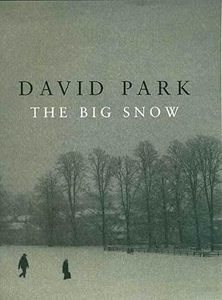 David Park: The Big Snow (Hardcover, Bloomsbury USA)