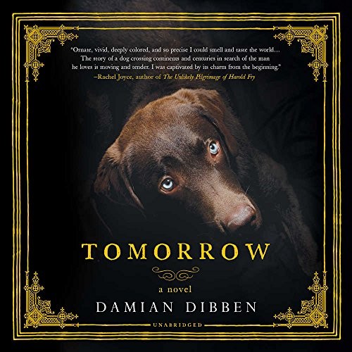 Damian Dibben: Tomorrow (AudiobookFormat, 2018, Harlequin Audio and Blackstone Audio)