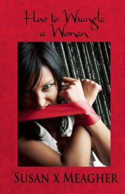 Susan X. Meagher: How to Wrangle a Woman (2012, Brisk Press)