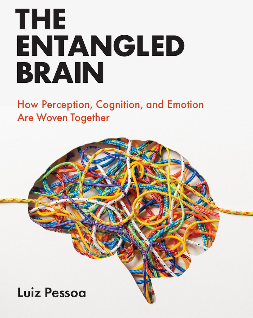 Luiz Pessoa: Entangled Brain (2022, MIT Press)