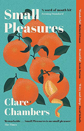 Clare Chambers: Small Pleasures (Paperback)