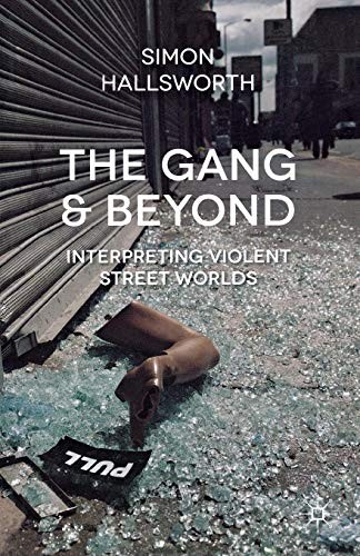 S. Hallsworth: The Gang and Beyond (Paperback, 2013, Palgrave Macmillan)