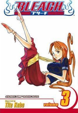 Tite Kubo: Bleach. (GraphicNovel, 2004, Viz)