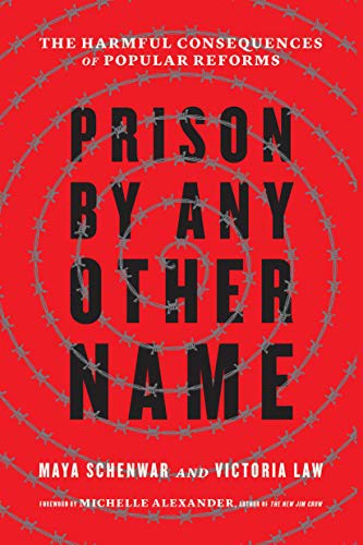 Maya Schenwar, Victoria Law, Michelle Alexander: Prison by Any Other Name (Paperback, 2021, The New Press)