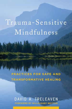 David A. Treleaven, Willoughby Britton: Trauma-Sensitive Mindfulness (Hardcover, 2018, W. W. Norton & Company)