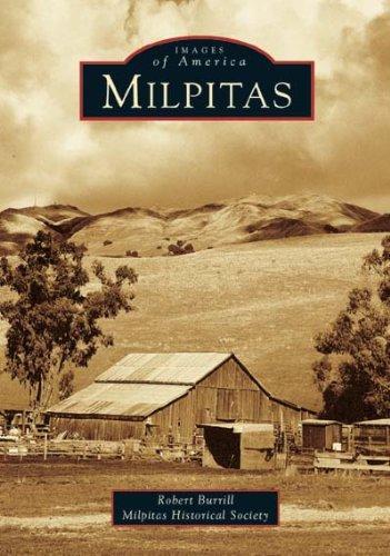 Robert L. Burrill: Milpitas (2004)
