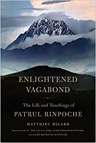 Enlightened vagabond (2017)