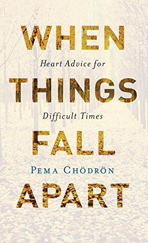 Pema Chödrön: When Things Fall Apart (2016)