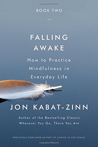 Jon Kabat-Zinn: Falling Awake (Paperback, 2018, Hachette Books)