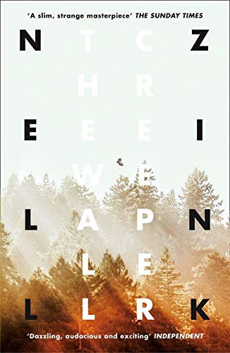 Nell Zink: Wallcreeper (Paperback, 2016, HARPERCOLLINS PUBLISHERS, imusti)