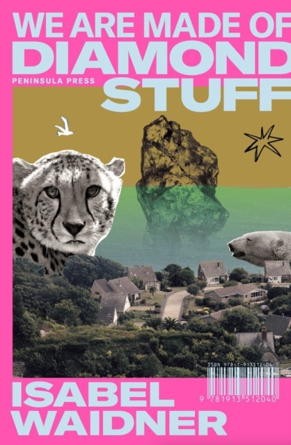 Isabel Waidner: We Are Made of Diamond Stuff (2022, Peninsula Press)