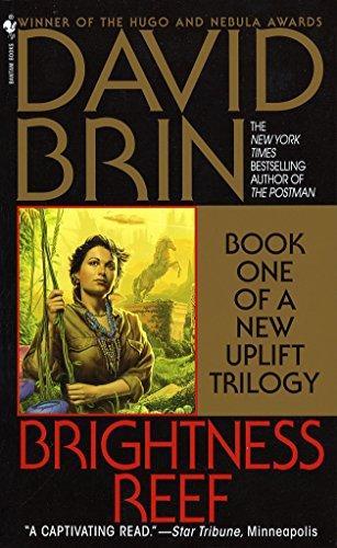 David Brin: Brightness Reef