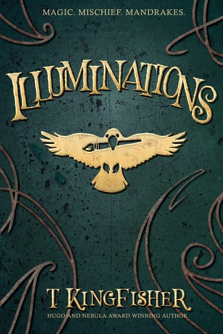 .: Illuminations (Paperback, 2022, Argyll Productions)