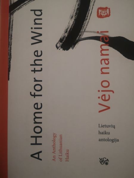 Artūras Šilanskas: Vėjo namai / A Home for the Wind (Paperback, Lithuanian language, Vaga)