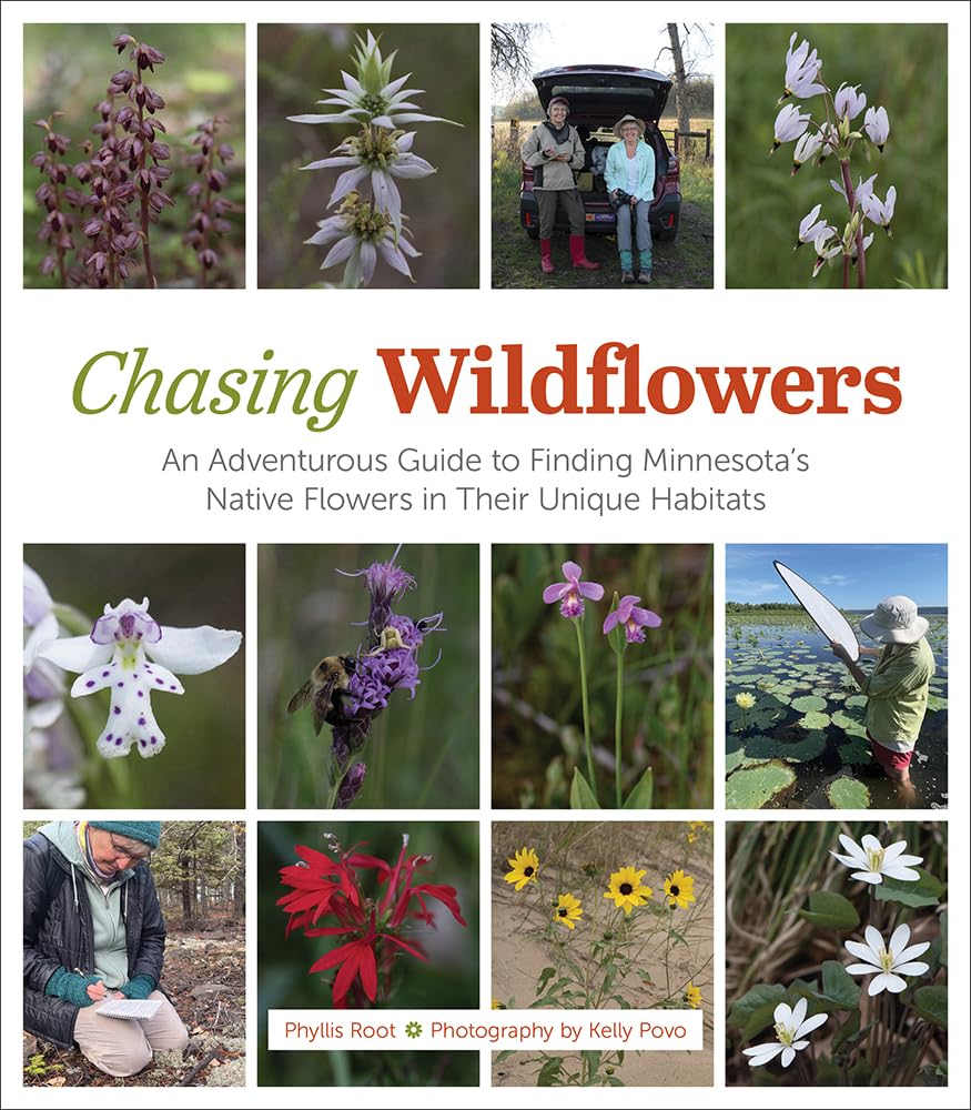 Phyllis Root, Kelly Povo: Chasing Wildflowers (Hardcover, 2025, University of Minnesota Press)