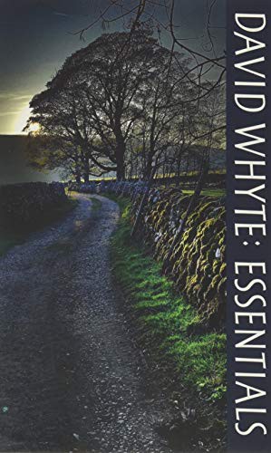 David Whyte: David Whyte (Paperback, 2020, Many Rivers Press)