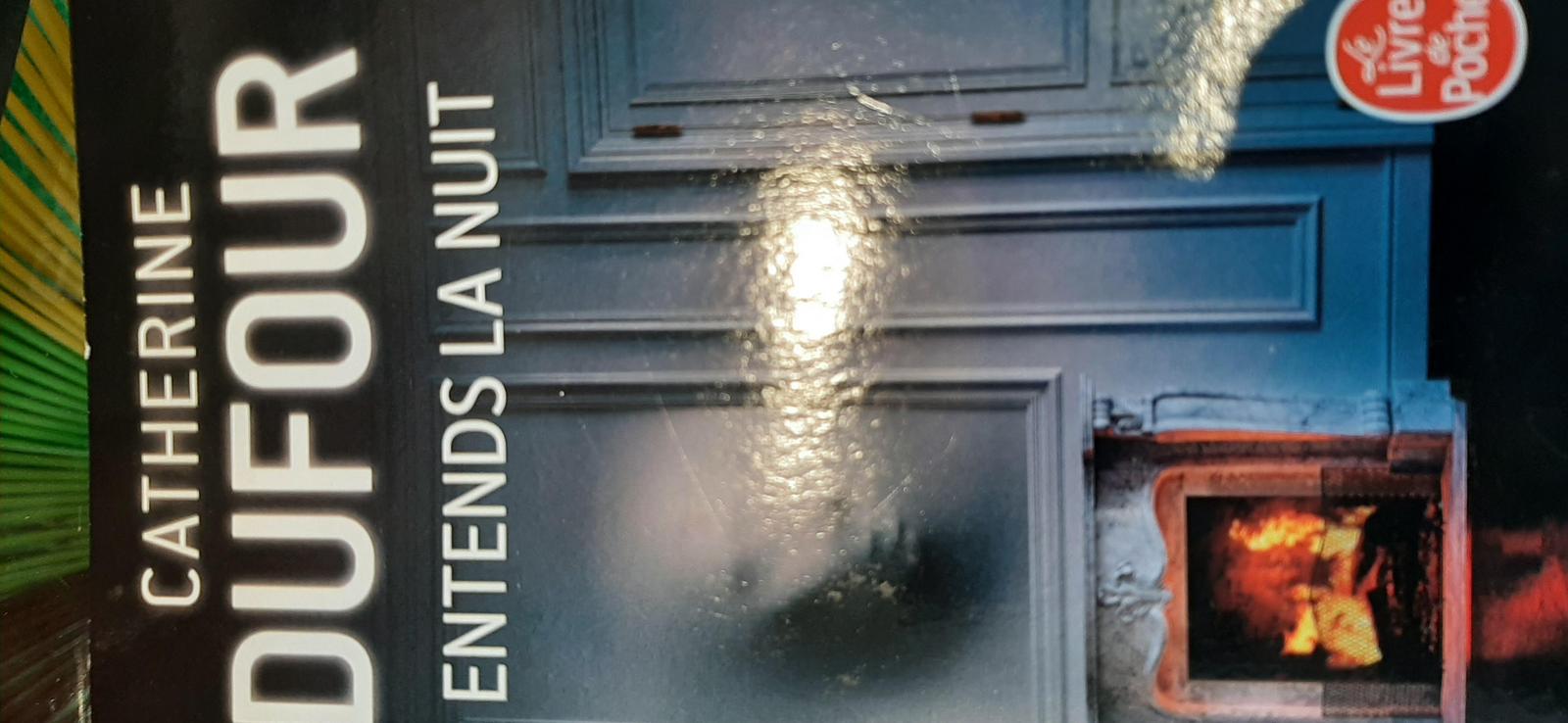 Catherine Dufour: Entends la nuit (French language, 2020)